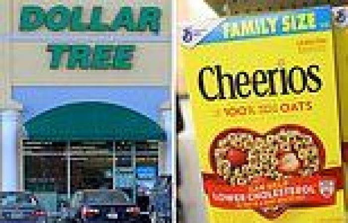 Dollar Tree hit by inflations as its forced to hike bottom-line price to $1.25