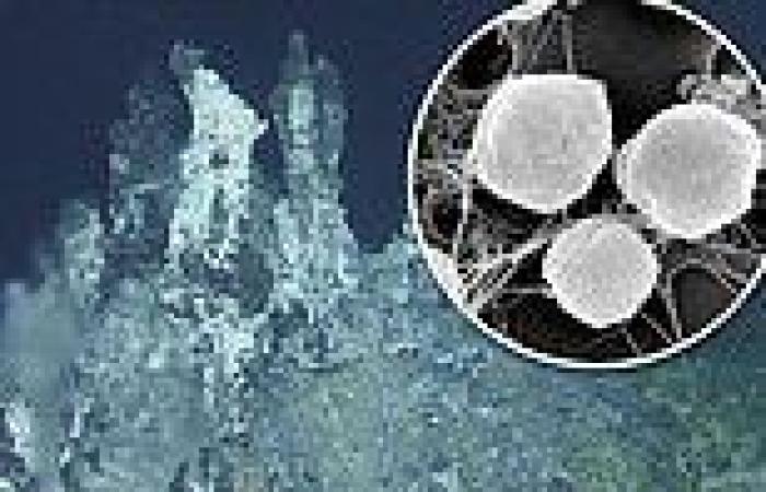 Deep sea vents are 'particularly favorable' to forming the building blocks of ...