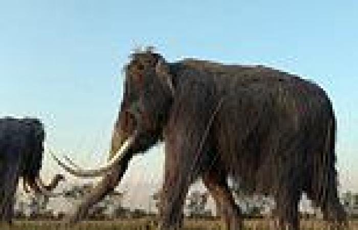 Earth science: Extinctions of the world's largest animals triggered increased ...