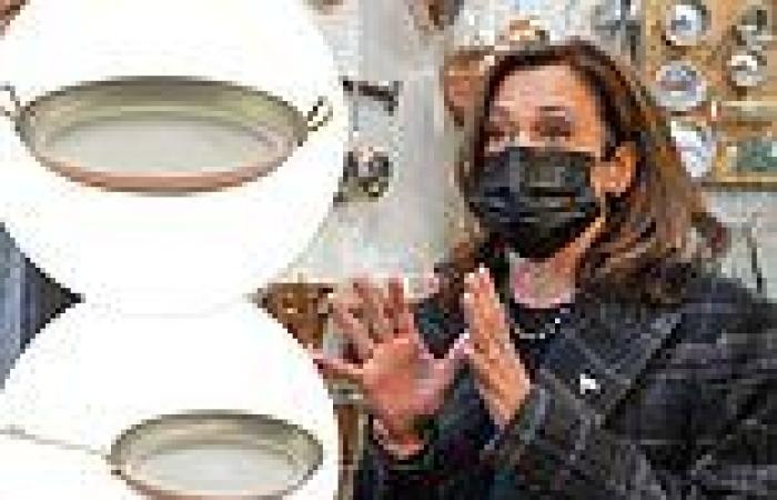Kamala Harris spends $500 on cookware at a store in Paris