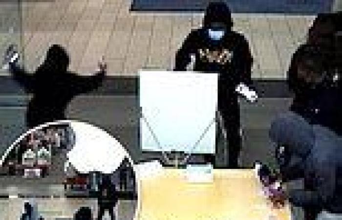 Thieves nab $20,000 of merch from California Apple store in BROAD DAYLIGHT ...