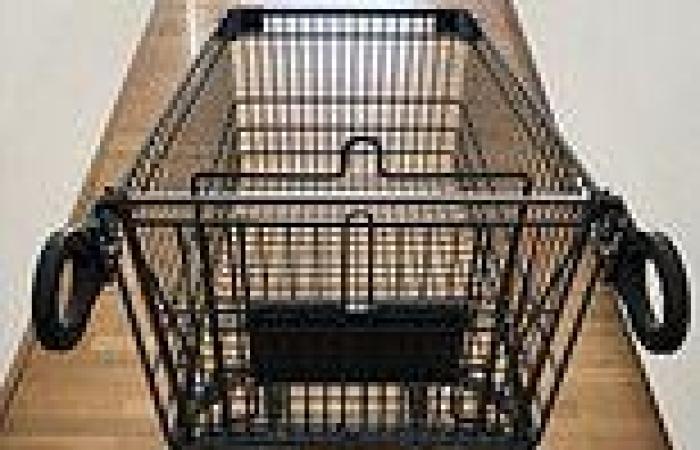 Putting side handles on a shopping trolley could make you spend more money