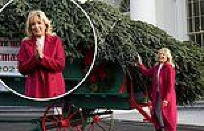 Biden is slammed for $139K WH Christmas tree lighting when Americans are ...