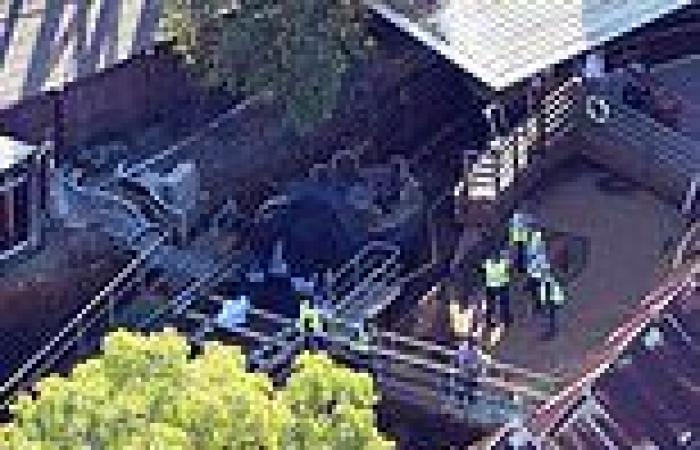 Dreamworld tragedy: Gold Coast policeman sues after he witnessed bodies of the ...