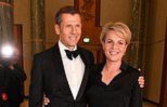 Tanya Plibersek husband hopes wife will become prime minister in tell-all ...