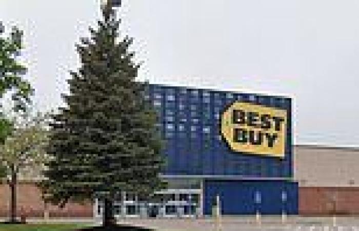 Group of 30 looters rampages through two Minnesota Best Buys by 'flash mob' ...