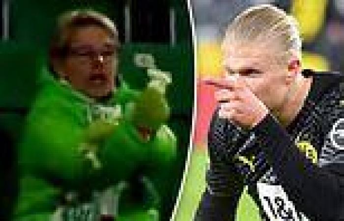 sport news Bundesliga: Erling Haaland reacts to video of a fan flipping him off after his ...