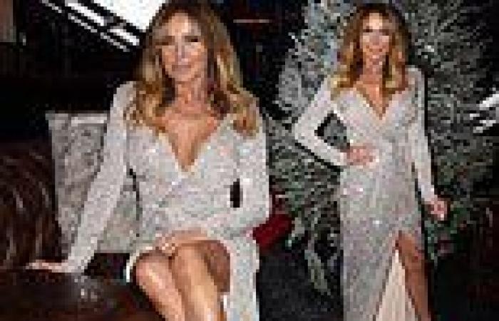 Lizzie Cundy looks leggy in a glittering gown as she joins a slew of stars ...