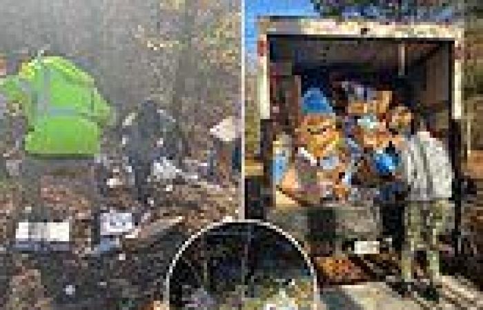 FedEx driver who dumped hundreds of packages into an Alabama ravine did it at ...