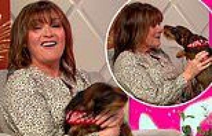 Lorraine Kelly gets WEED ON by her daughter Rosie's excited puppy