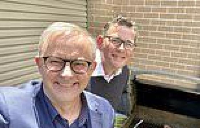 Dan Andrews DENIES fake steak allegation at BBQ with Anthony Albanese insisting ...