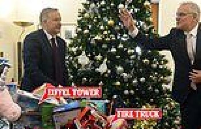 Anthony Albanese trolls Scott Morrison with Salvation Army Kmart Wishing Tree ...