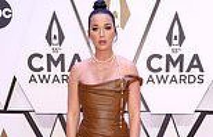 Popstar Katy Perry called Australian fashion designer Katie Perry a 'dumb ...