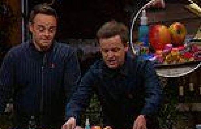 I'm A Celeb 2021: Ant and Dec reveal the confiscated items the campmates tried ...