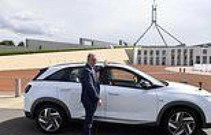 Climate change: Anthony Albanese announces Labor's carbon emissions target of ...