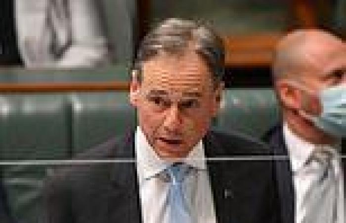 Health Minister Greg Hunt reveals he's quitting politics after 20 years