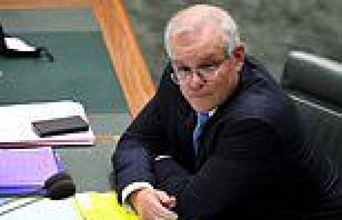 Damian Drum: THIRD Scott Morrison Liberal MP announces he won't run at the next ...