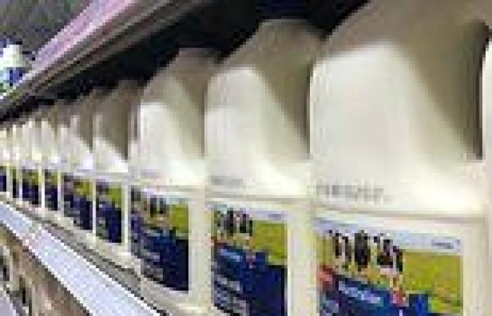 One dollar milk is OVER as Woolworths, Coles AND Aldi raise prices but will ...