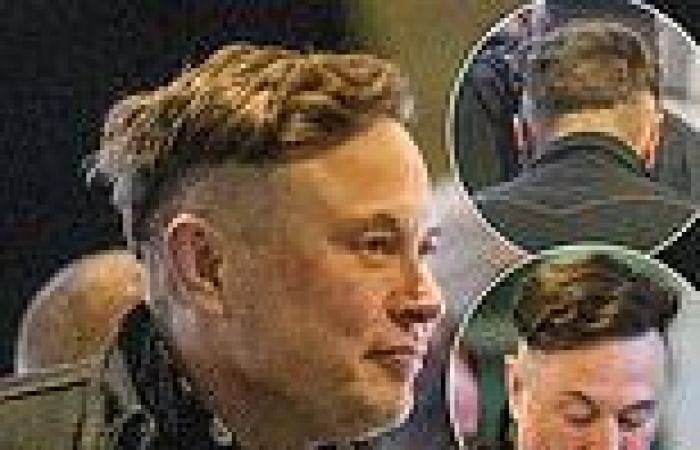 Elon Musk sports wild Mohawk as he touches down in Miami with son