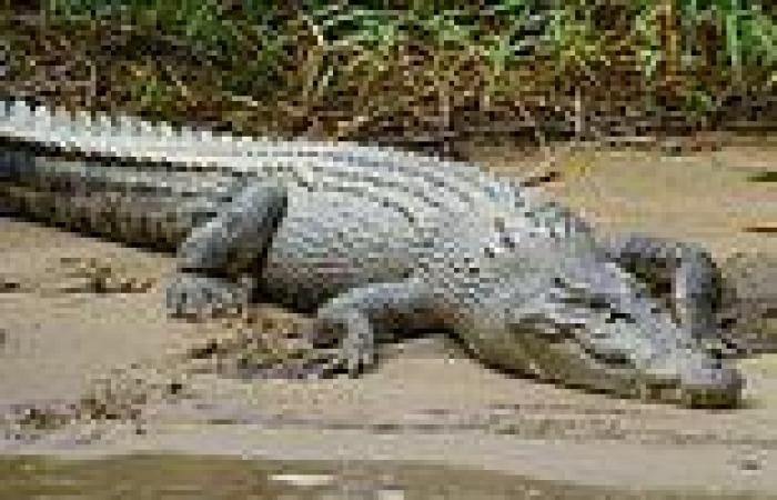 British student, 18, is attacked by 10ft crocodile at Victoria Falls in Zambia