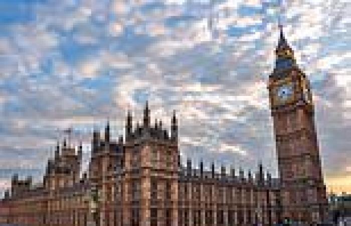 Police officer is sprayed in face with mystery substance outside Parliament by ...