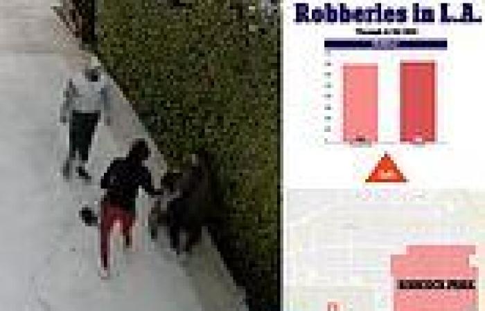 Robbers corner mother and baby in driveway of her LA mansion and steal diaper ...