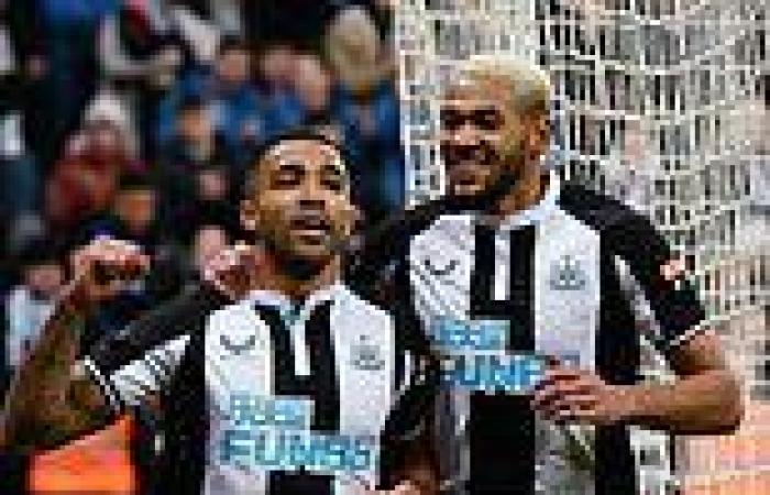 sport news Newcastle 1-0 Burnley: Callum Wilson strikes as Eddie Howe's side finally win  ...