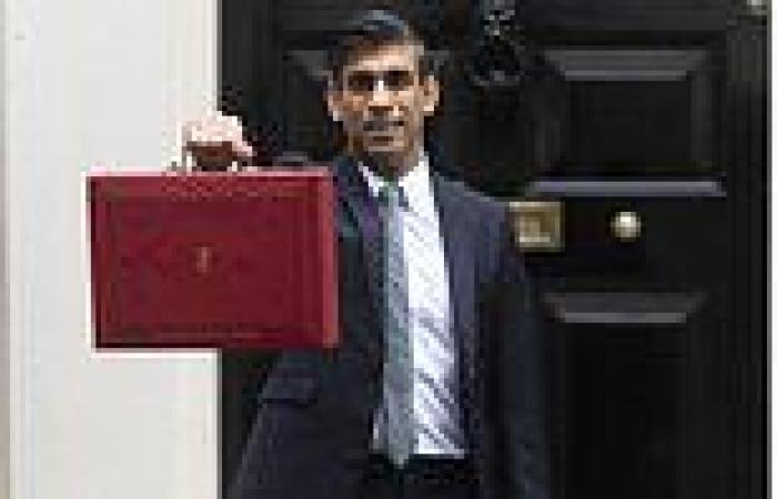 Rishi Sunak 'plans to cut income tax by 2p in the pound or lower VAT before the ...
