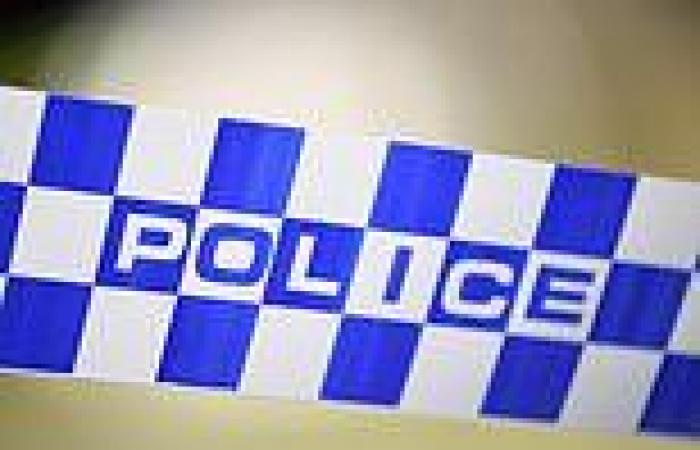 Woman, 67, is stabbed to death in Sydney apartment and man, 24, is charged with ...
