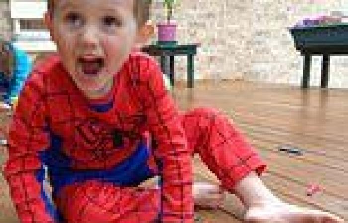William Tyrrell: Police find new item of interest buried in muddy creek bed as ...