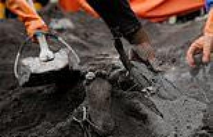 Rescuers dig out body of boy, 13, from the piles of ash left by Indonesian ...