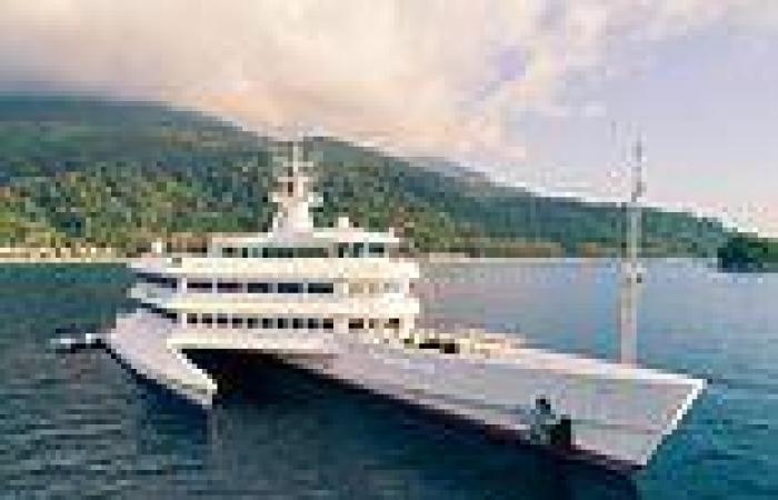 sport news Cardiff City FC owner Vincent Tan puts £30million multihull superyacht Asean ...