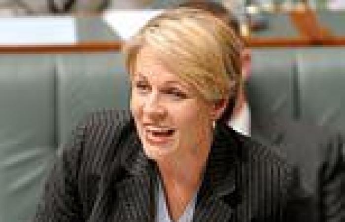 Tanya Plibersek opens up about when the fate of the government hung on her ...