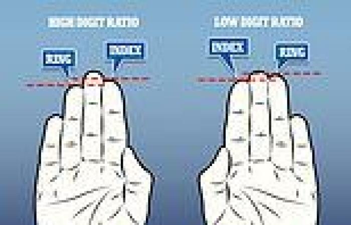 Women with an index finger shorter than their ring finger may be STRONGER, ...