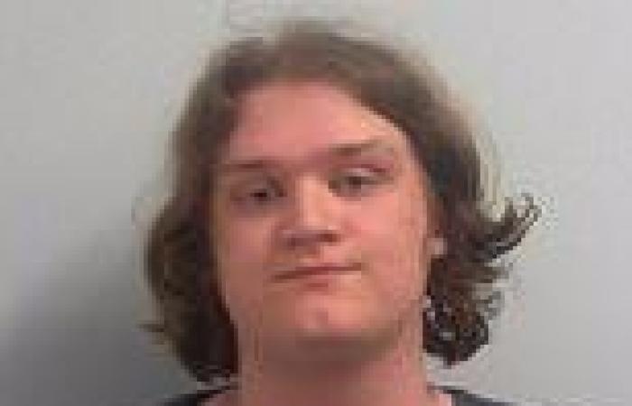 Paedophile, 19, who hoarded abuse images is jailed after filming himself ...