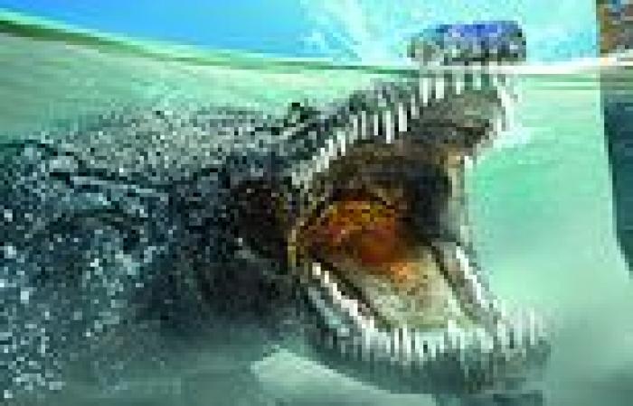 Fossils: Terrifying 14ft-long 'uncle' of modern crocodiles roamed Wyoming 155 ...