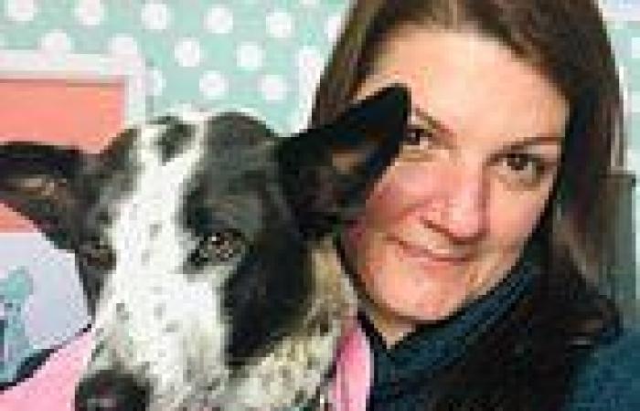 Woman spends $45,000 on private jet to fly beloved dog Munchkin from NZ to ...