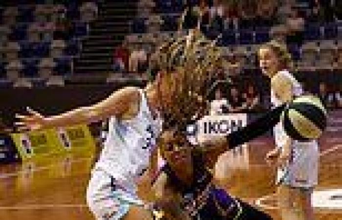 WNBL USA basketball star Tiffany Mitchell accuses Basketball Australia of ...