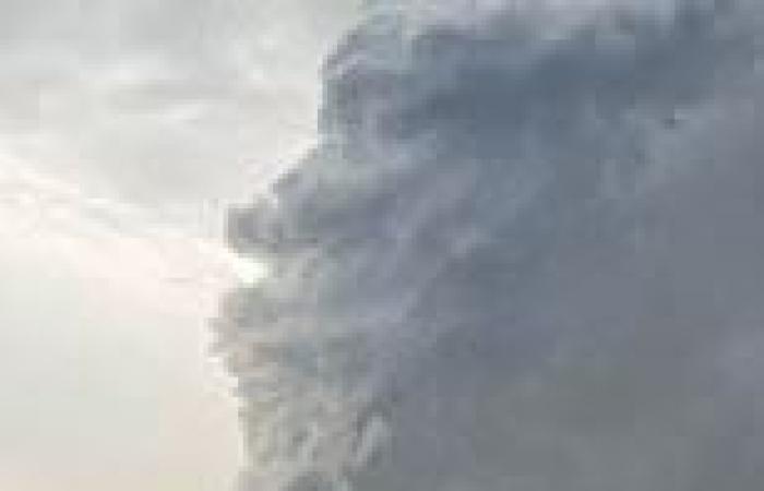 Stunned mother spots William Shakespeare's face in a cloud while photographing ...