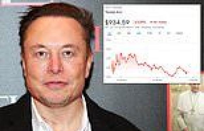 Tesla's market cap falls back under $1 trillion after Elon Musk sells another ...