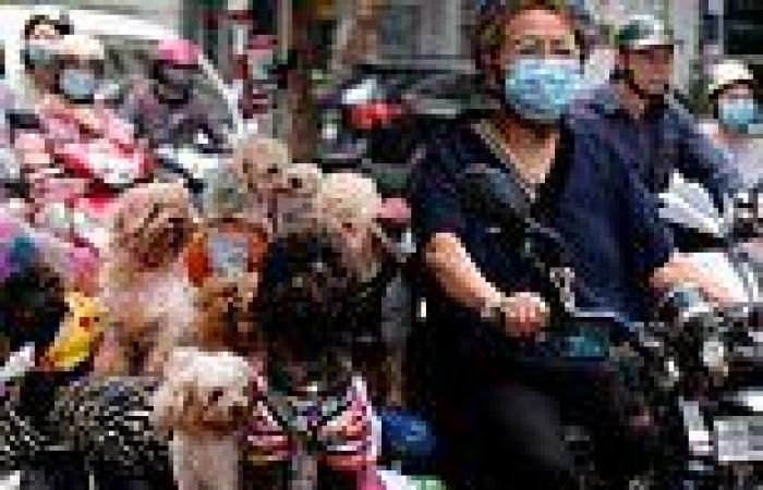 Frustrated Aussies forced to ship rapid antigen tests from Thailand in face of ...