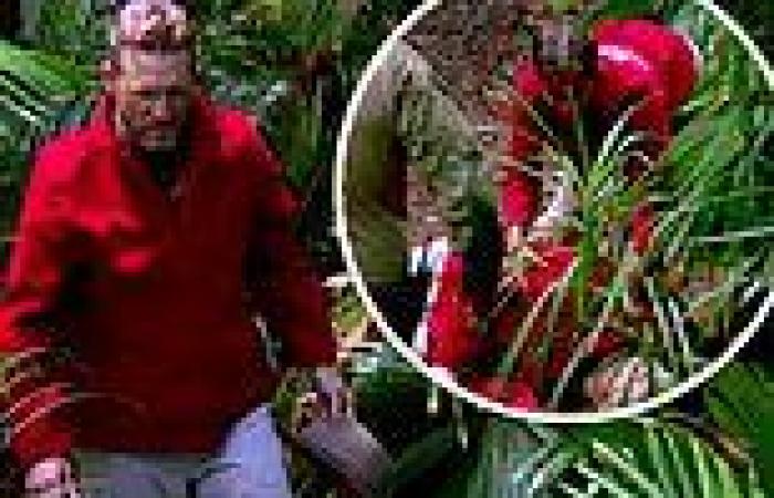 I'm a Celebrity: AFL star Nathan Buckley collapses in medical emergency