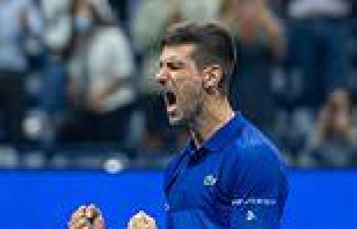 Novak Djokovic court case: ALL the possible outcomes of tennis great's visa ...