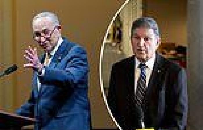 Democrats' week of reckoning in Congress as Schumer looks to pass voting rights ...