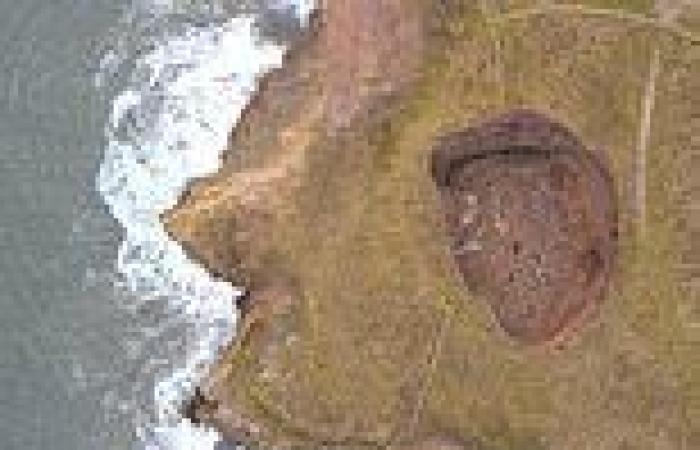 Souter Hole: Giant sinkhole off Whitburn near Sunderland swells to 40ft ...