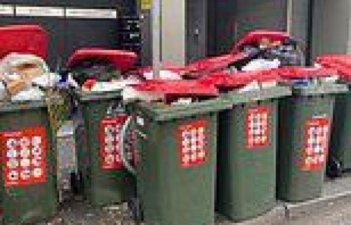 Residents left fuming after Sydney councils stop collecting rubbish due to ...