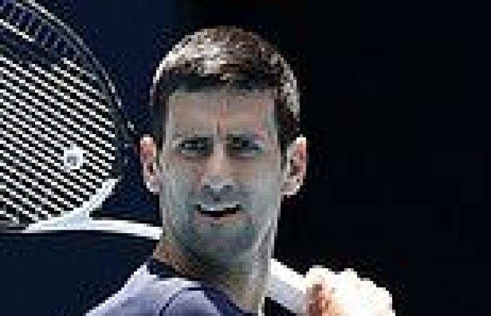 sport news MIKE DICKSON: Novak Djokovic's weasel words cut no ice with his situation ...