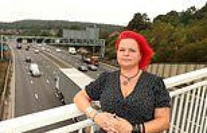 Smart motorway inside lanes should be closed NOW says widow whose husband was ...