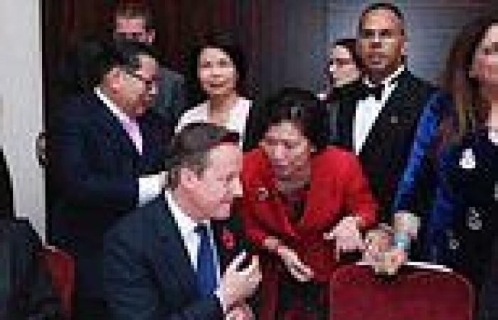 Chinese 'spy' in Westminster: How 'lawyer' targeted ex-energy secretary and ...