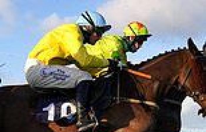 sport news Robin Goodfellow's Racing Tips: Best bets for Friday, January 14